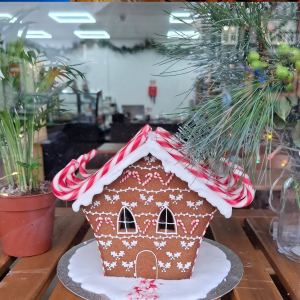 Gingerbread House Decorating Kit